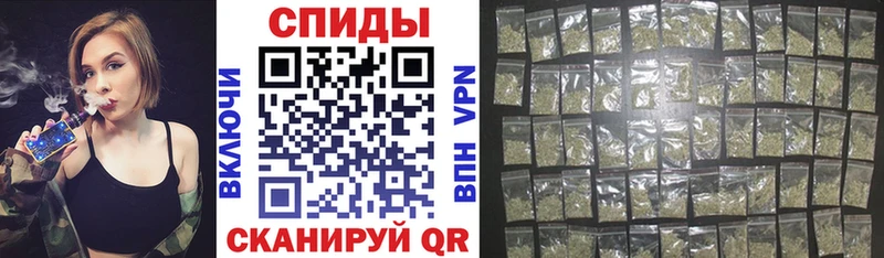 мега ONION  Курчалой  Бутират буратино 