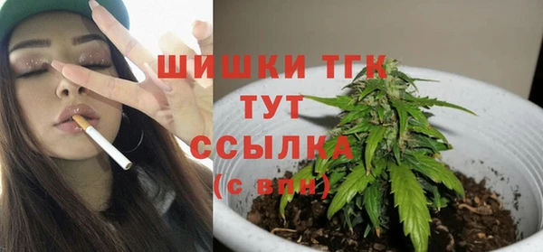 гидропоника Белокуриха