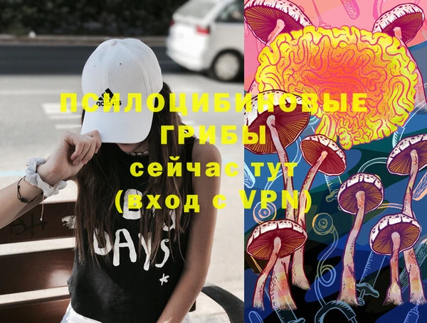 гидропоника Белокуриха