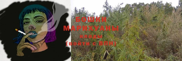 гидропоника Белокуриха