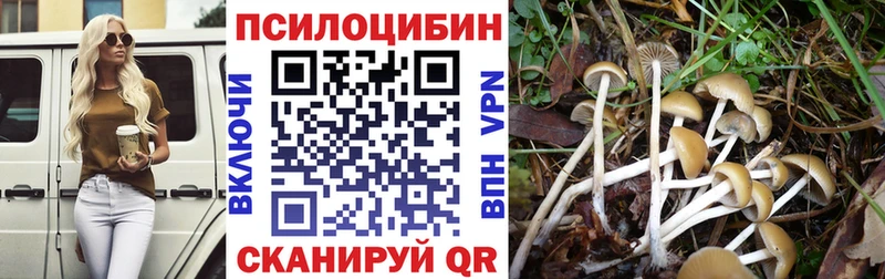 Псилоцибиновые грибы ЛСД  Курчалой 